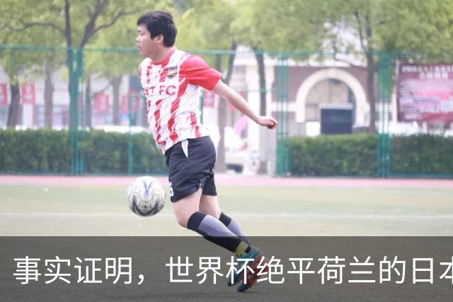 事实证明，世界杯绝平荷兰的日本男足，已经走上了另一条大道
